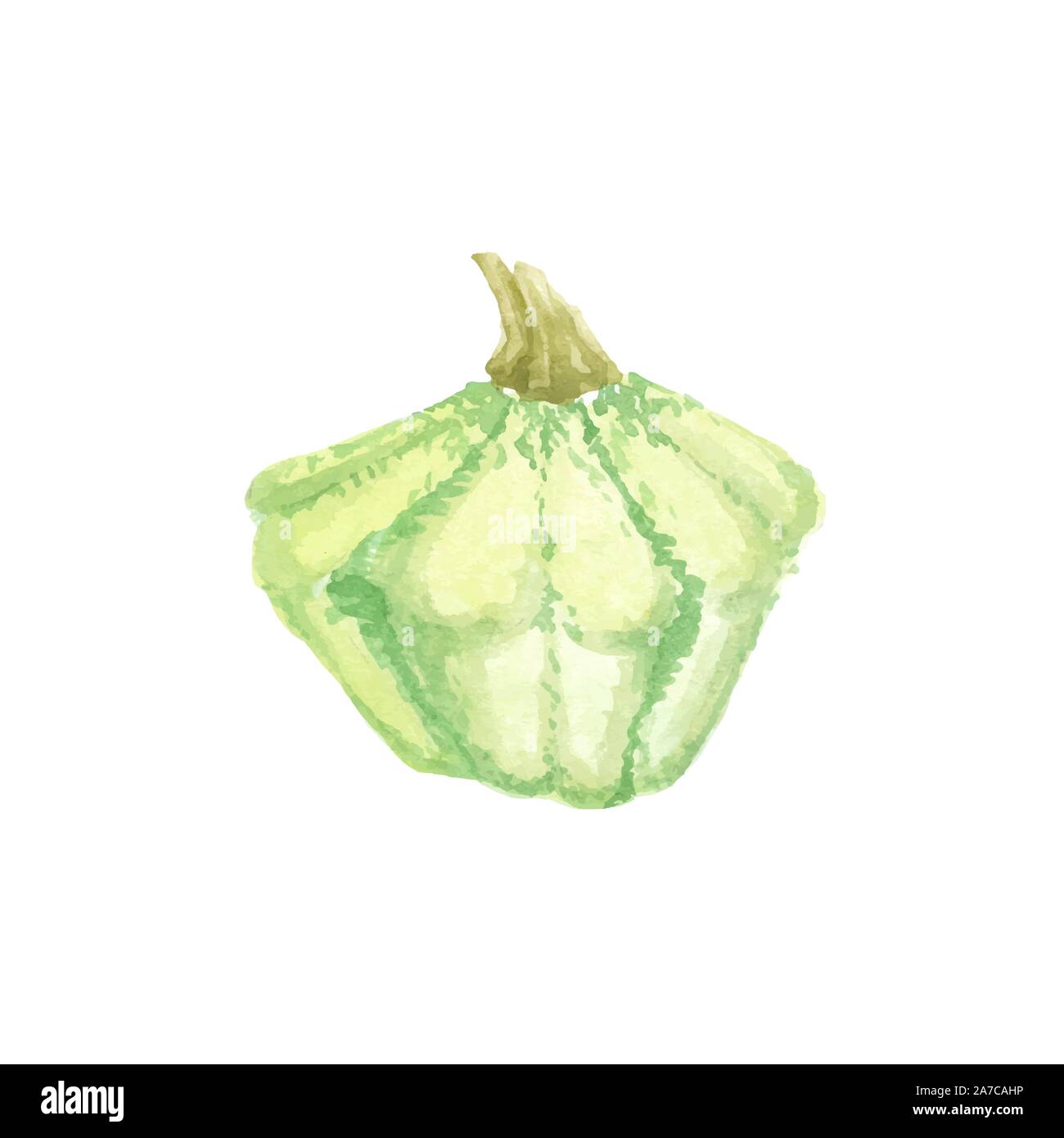 Vettore mano ad acquerello bozzetto Zucca, autunno ringraziamento illustrazione dipinta isolati su sfondo bianco. Illustrazione Vettoriale