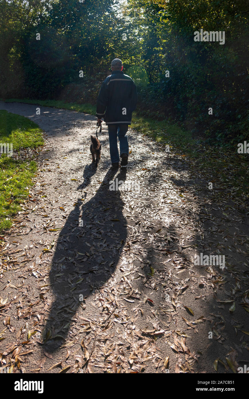Dog walker cast lunga ombra. Secondo la guida Lonely, solitudine. Solitario. Foto Stock