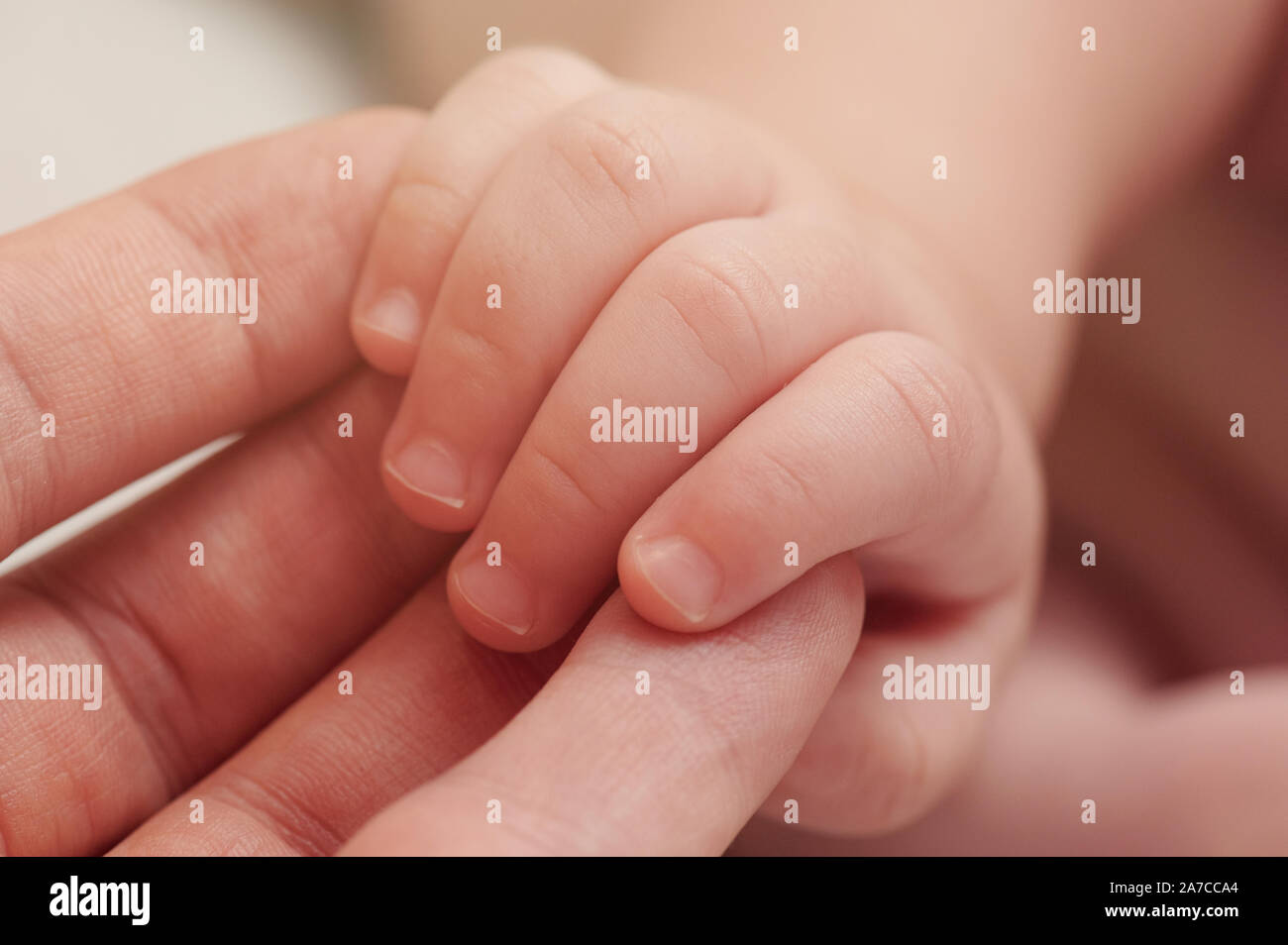 Mano del neonato sui genitori palm vista macro Foto Stock