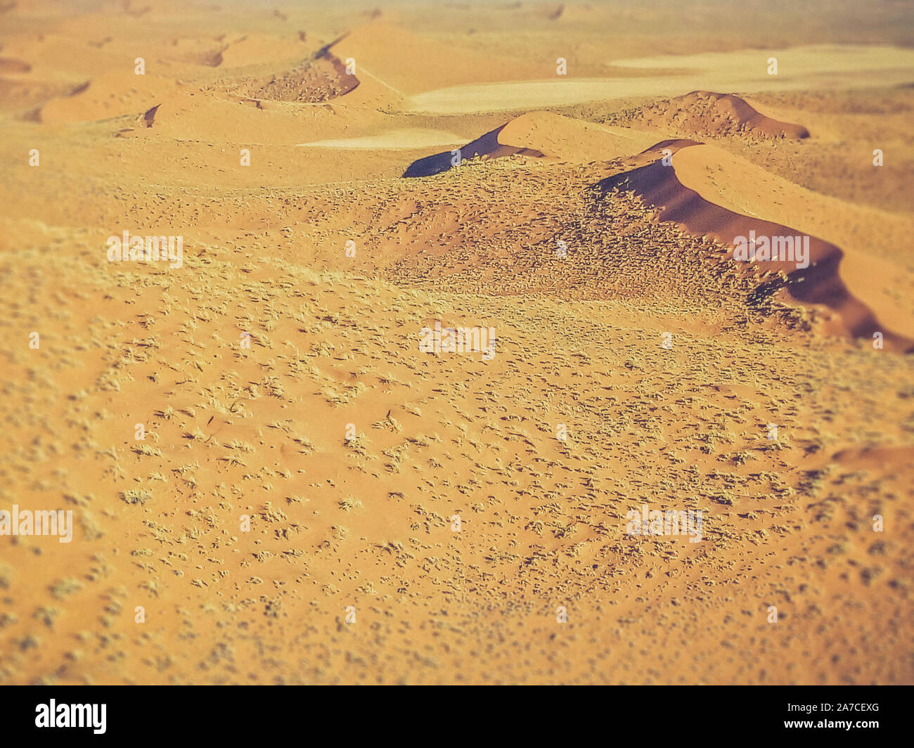 Le dune di sabbia nel deserto di Namibia Foto Stock