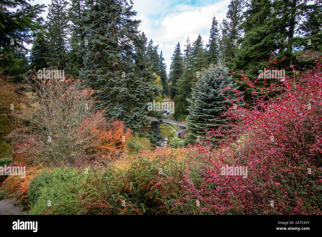 Colori Autunno Cragside Foto Stock