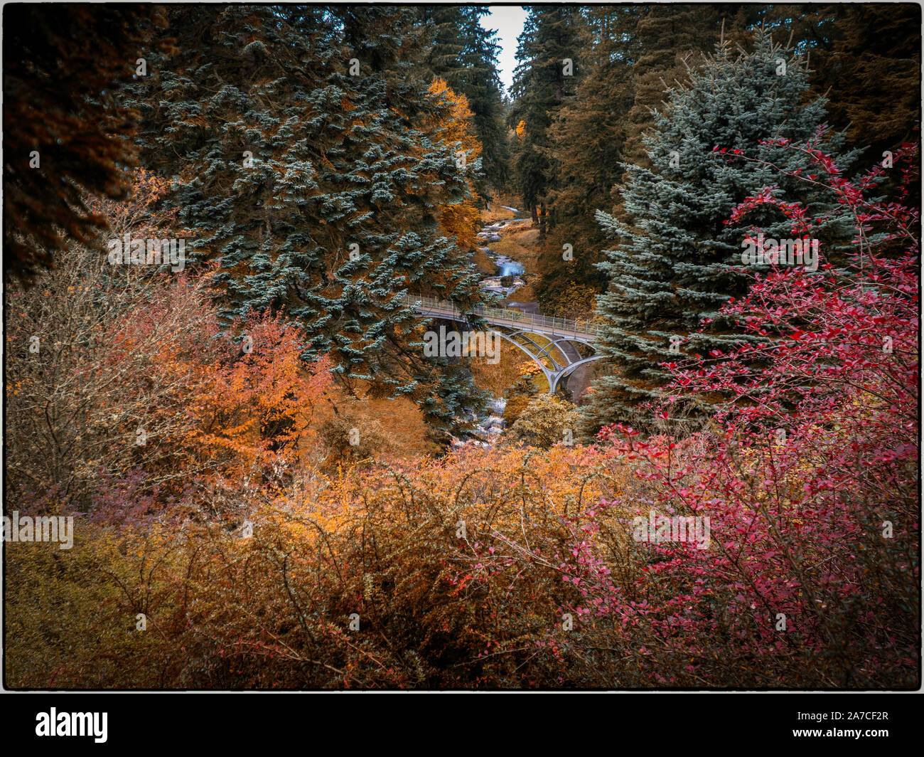 Colori Autunno Cragside Foto Stock