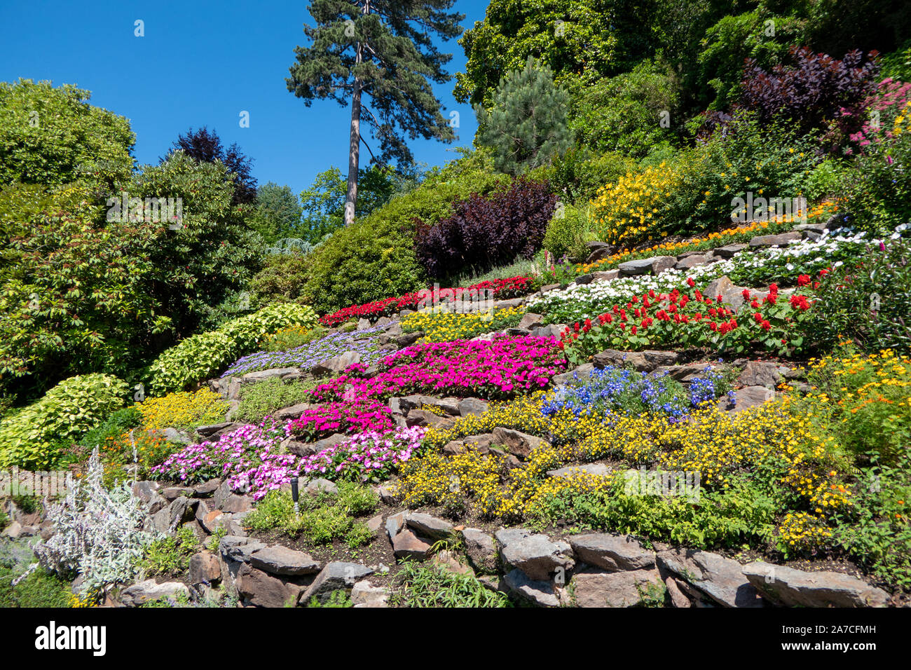 La magnifica vista del giardino con fiori a Tremezzo - Lago di Como in Italia Foto Stock