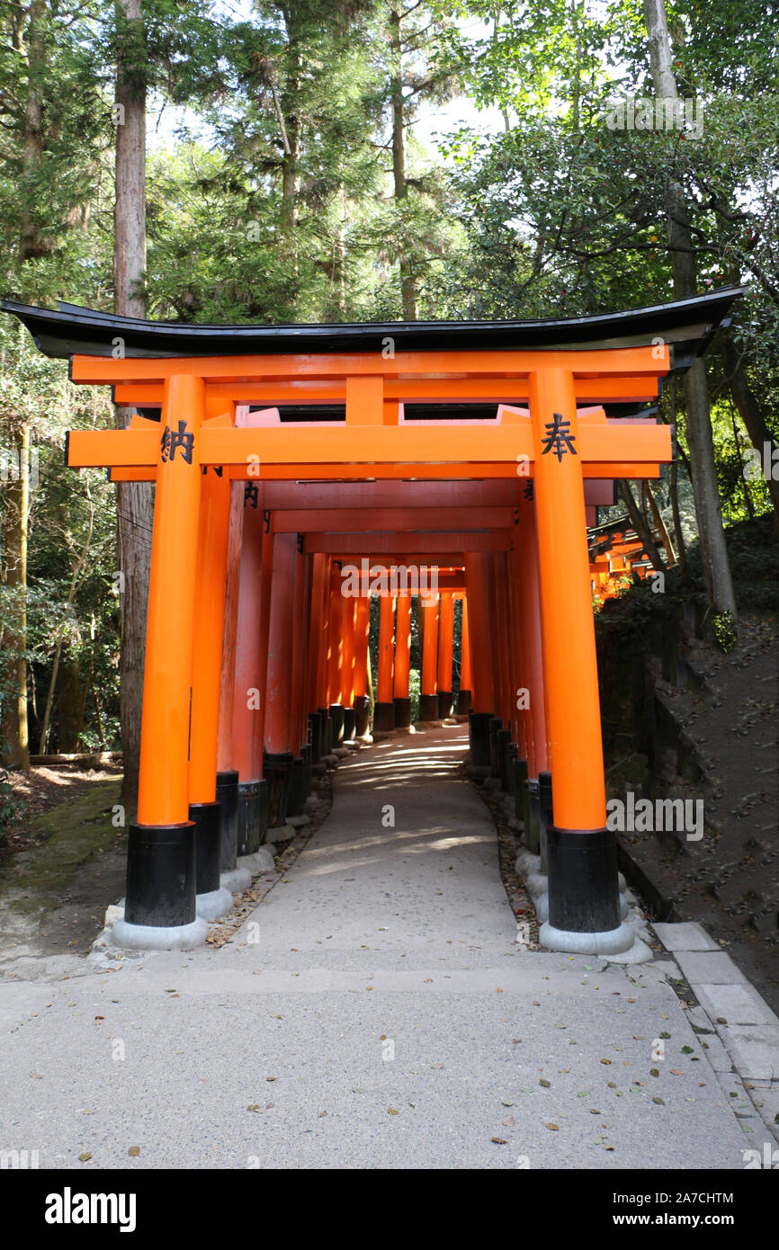 Torrii giapponese Cancelli Rossi davanti a un santuario Foto Stock