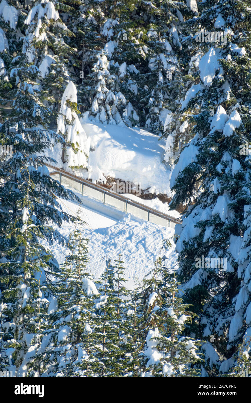 Vista sul sentiero in salita tra gli alberi sulla luminosa giornata d'inverno. Foto Stock