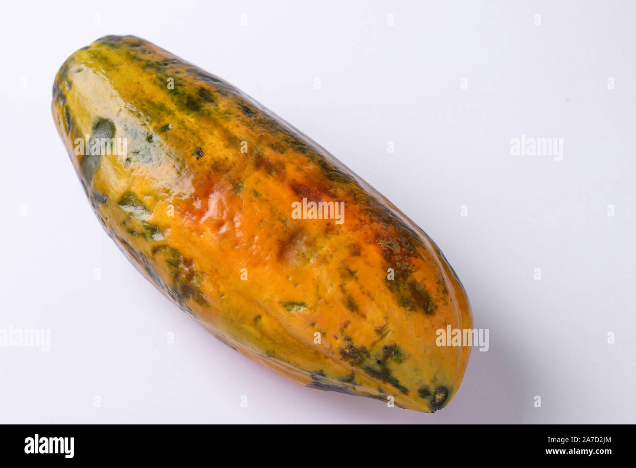 Brutto papaia organico su sfondo bianco, orientamento orizzontale Foto Stock