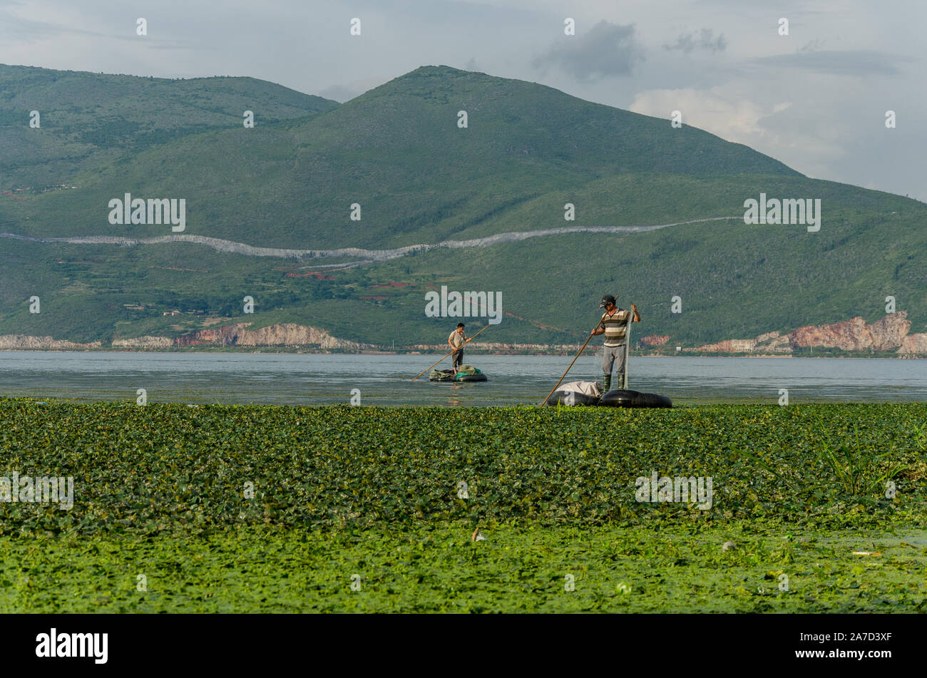 La pesca in lago ErHai, Dali, Yunnan, Cina Foto Stock