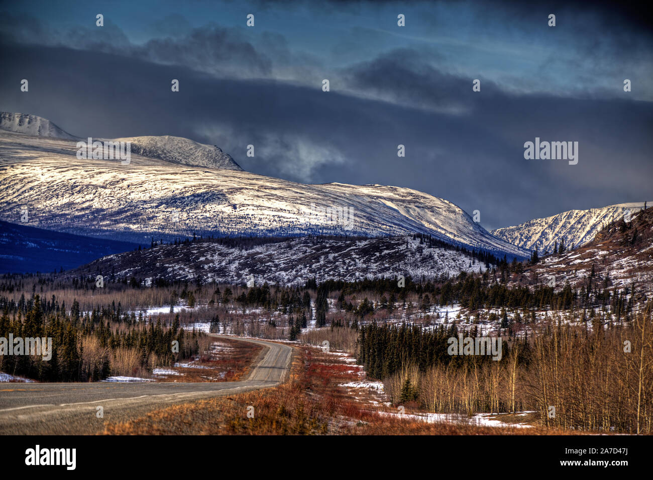 Autunno vedute panoramiche lungo la guida da Whitehorse, Yukon, Canada di Haines, Alaska. Foto Stock