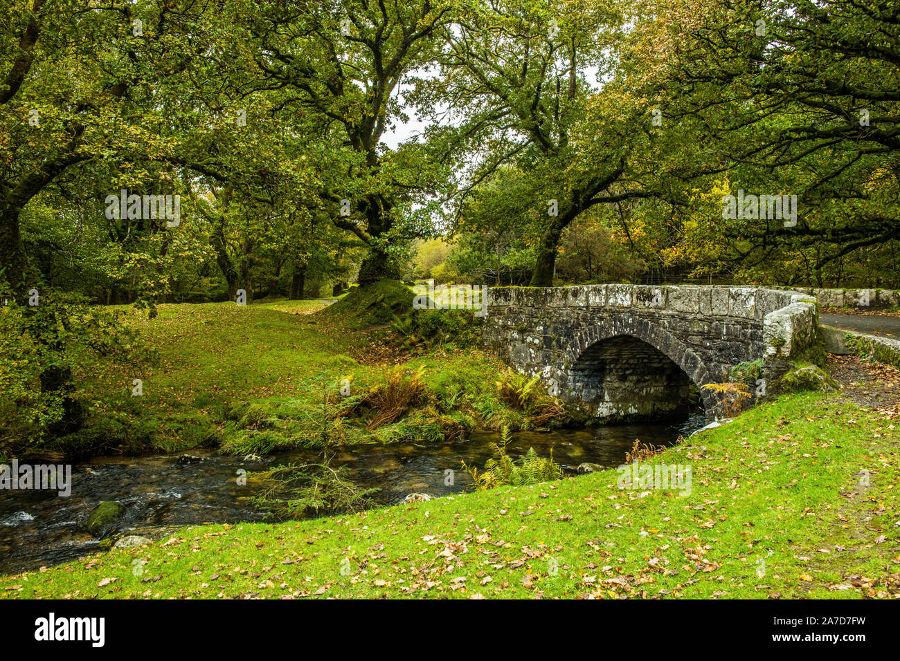 River e Norsworthy ponte di pietra a Burrator Reservoir nel Dartmoor National Park Devon nell'Inghilterra occidentale in autunno. Questo è in alto. Foto Stock