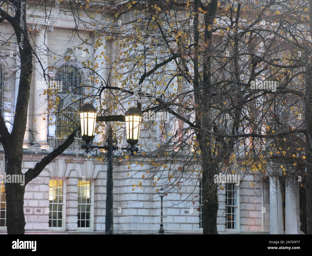 La facciata del Municipio di Belfast con inverno alberi in primo piano e lanterne accese al tramonto. Foto Stock