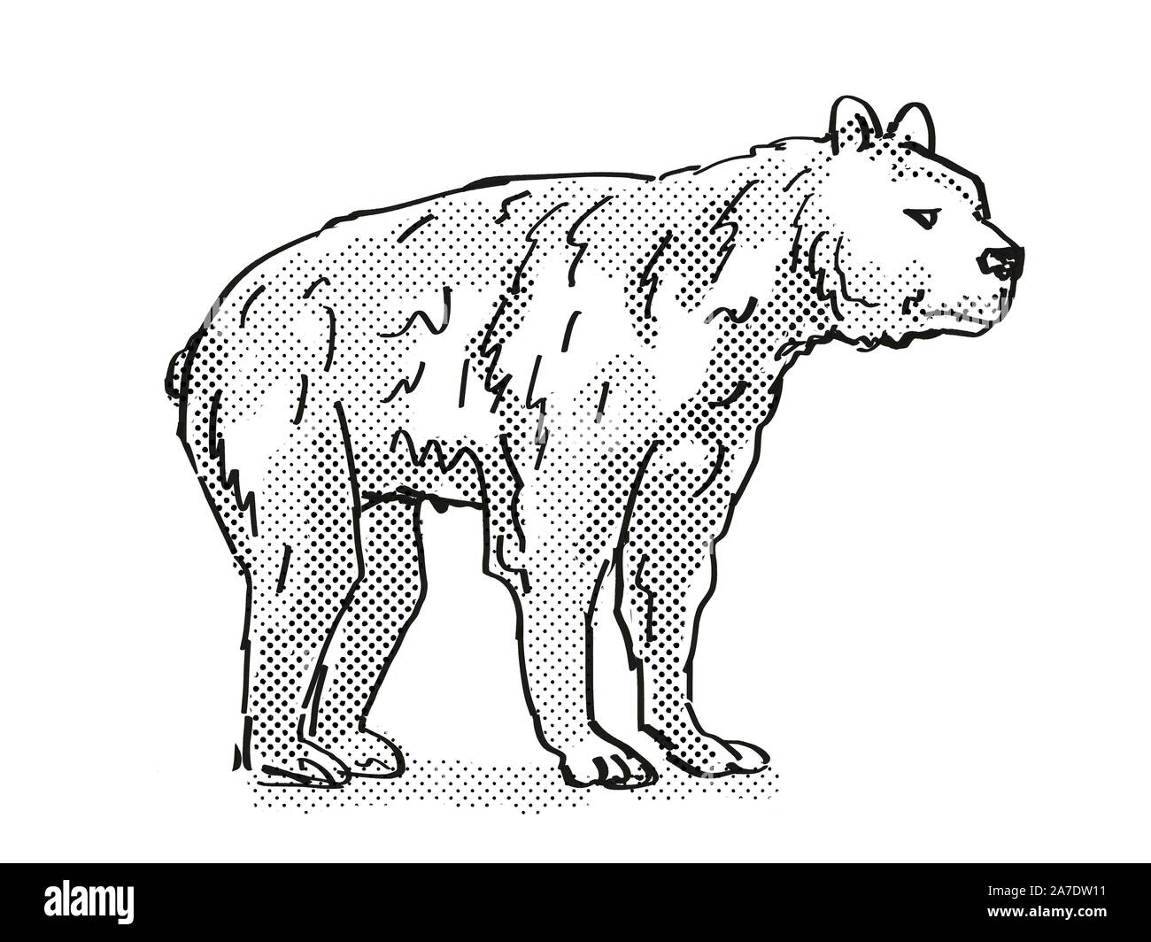 Rétro in stile cartoon di disegno di un orso Short-Faced, un estinto North American specie della fauna selvatica su sfondo isolato eseguita in bianco e nero corpo pieno Foto Stock