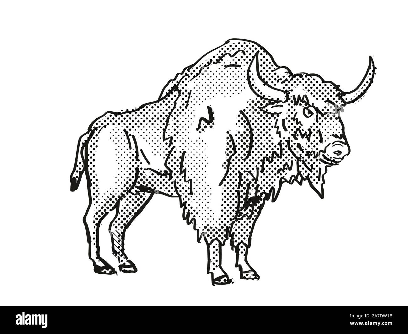 Rétro in stile cartoon il disegno di un antico Bison, un estinto North American specie della fauna selvatica su sfondo isolato eseguita in bianco e nero corpo pieno. Foto Stock