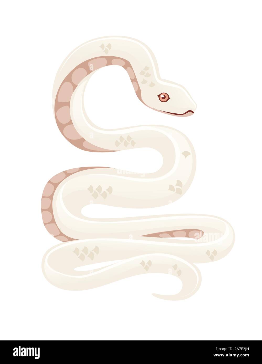 Bianco serpente albino cartoon animale piatto design illustrazione vettoriale isolati su sfondo bianco. Illustrazione Vettoriale