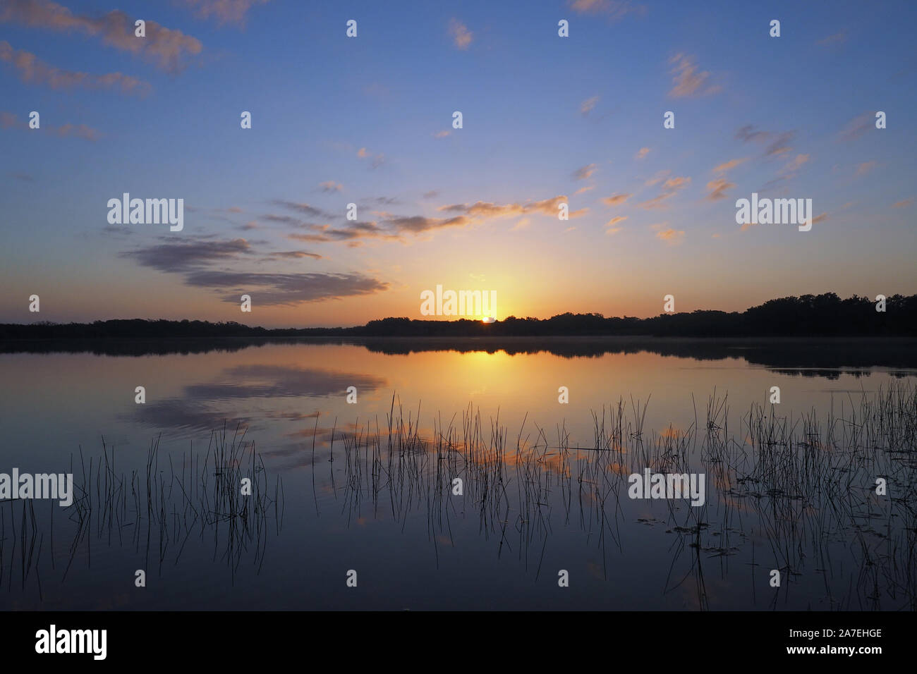 Colorato sunrise Nuvole e riflessi su nove miglia di stagno in Everglades National Park, Florida in inverno. Foto Stock