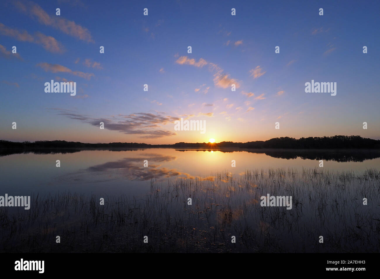 Colorato sunrise Nuvole e riflessi su nove miglia di stagno in Everglades National Park, Florida in inverno. Foto Stock