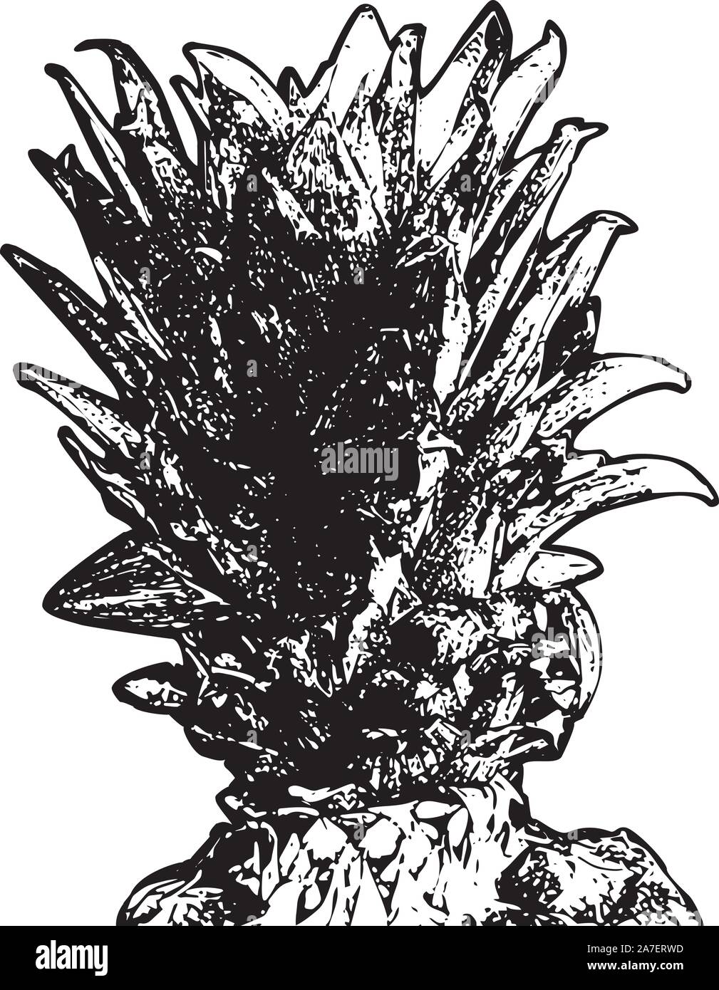 Dettagliata illustrazione grunge di ananas in bianco e nero. Illustrazione Vettoriale