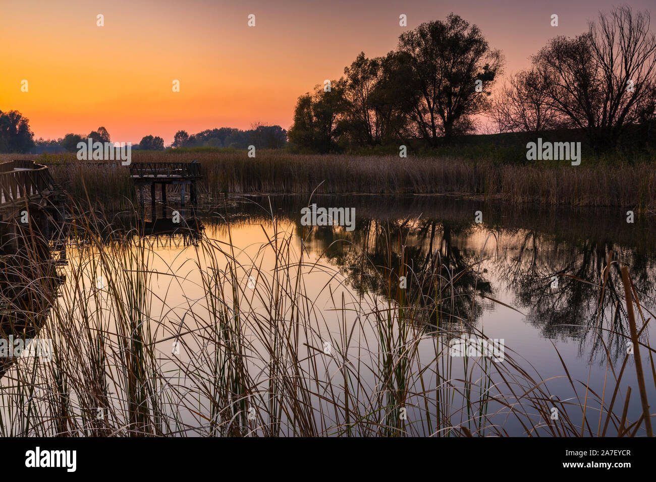 Parco naturale di Kopacki rit, tramonto Foto Stock