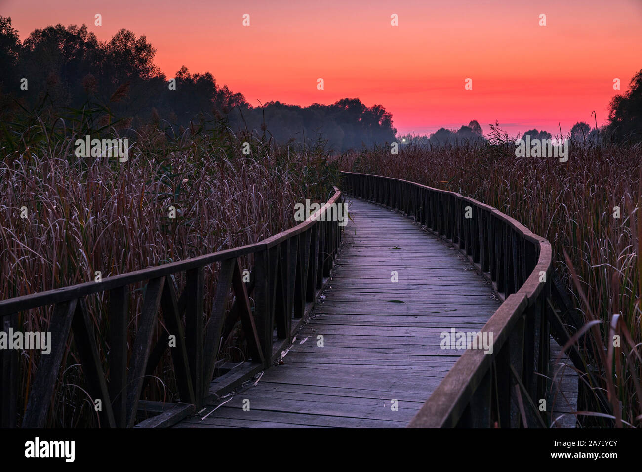 Tramonto a Kopacki rit Foto Stock