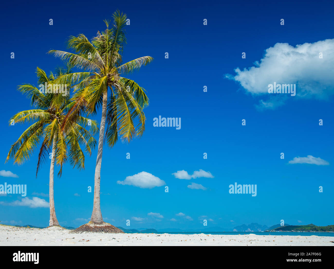 Bellissimo paesaggio tropicale immagine, due alberi di noce di cocco sopra il cielo blu a Ko Yao Noi, Krabi, Thailandia. Foto Stock