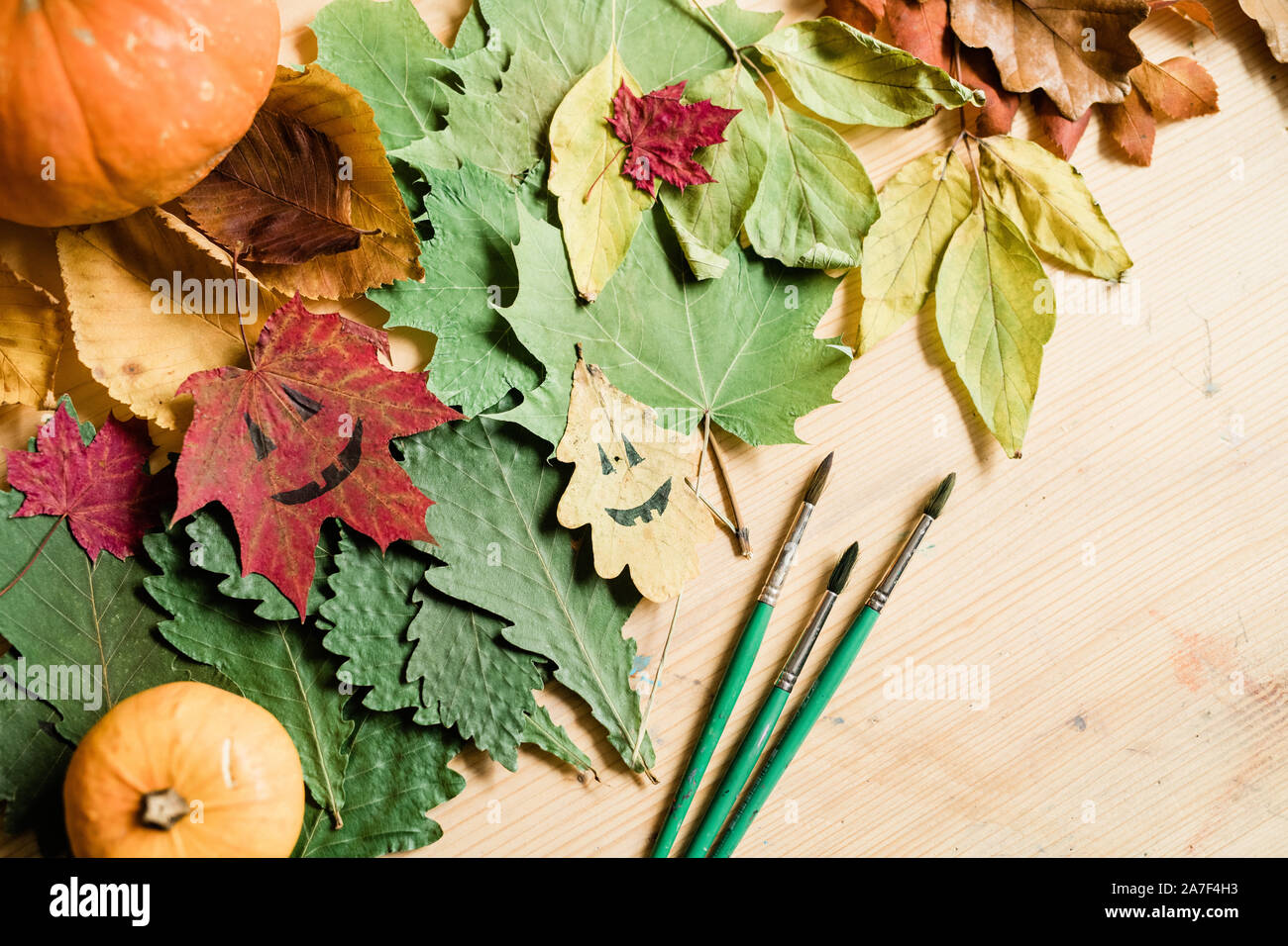 Asciugare fogliame di autunno, zucche di Halloween si affaccia su foglie e pennelli Foto Stock