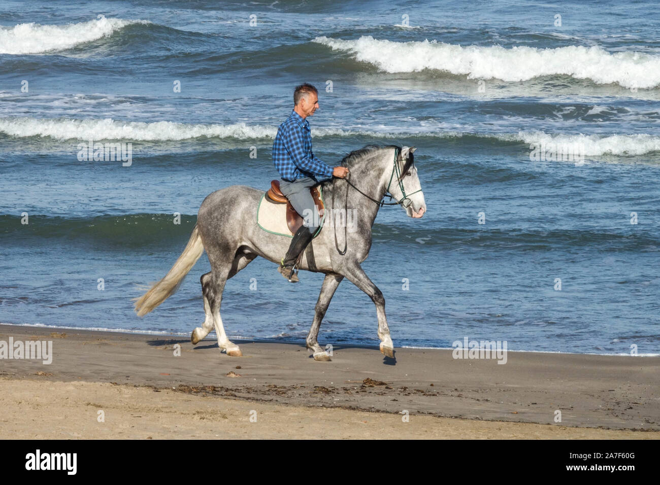 Uomo a cavallo sulla spiaggia Foto Stock