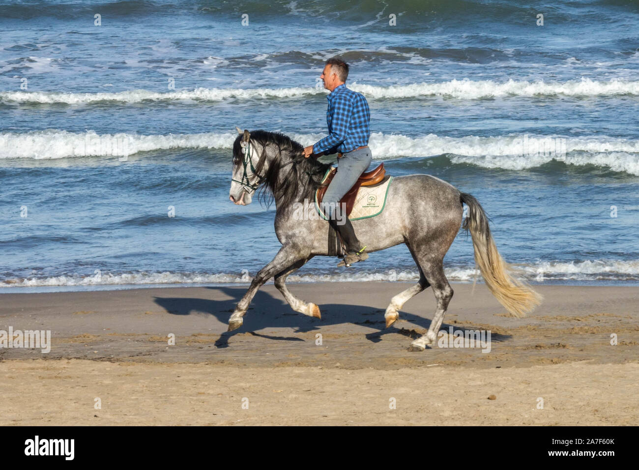 Uomo a cavallo sulla spiaggia Foto Stock