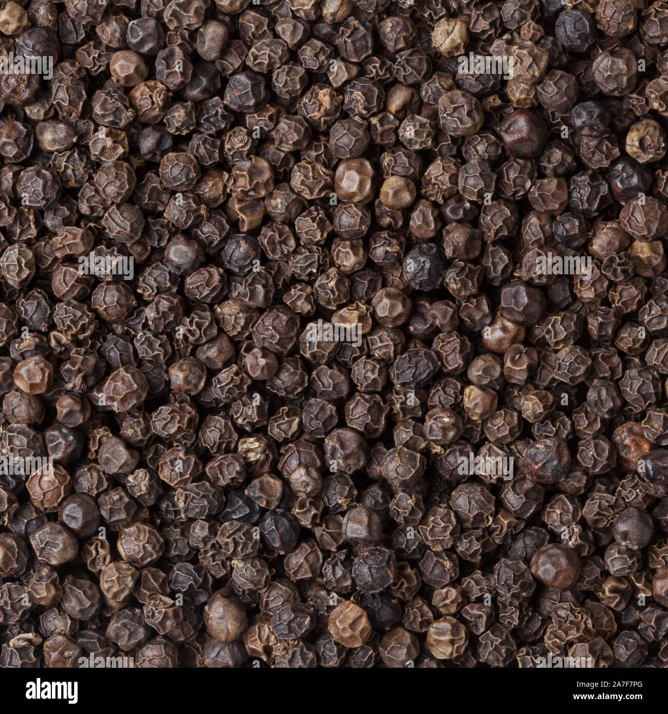 Essiccato peppe nero lo sfondo Foto Stock