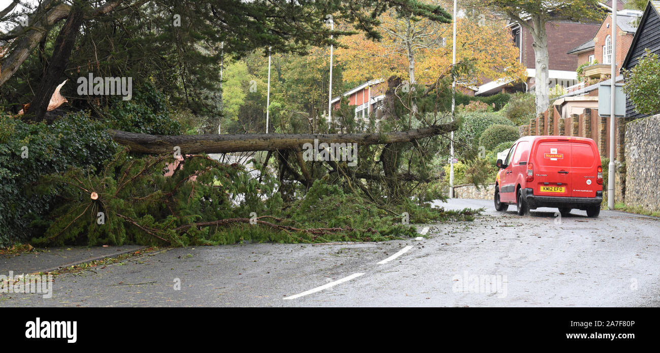 Lyme Regis, Dorset, Regno Unito. Il 2 novembre 2019. Regno Unito: Meteo maltempo e gale force venti portare alberi distrugge nel West Dorset. Un percorso principale in località costiera di Lyme Regis è bloccato da un grande albero caduto. I veicoli sono forzato sull'altro lato della strada per evitare la struttura ad albero e rami spezzati. Avvertimenti restano in posizione attraverso il Sud Ovest come la tempesta le condizioni vengono impostate per continuare. Credito: Celia McMahon/Alamy Live News. Foto Stock