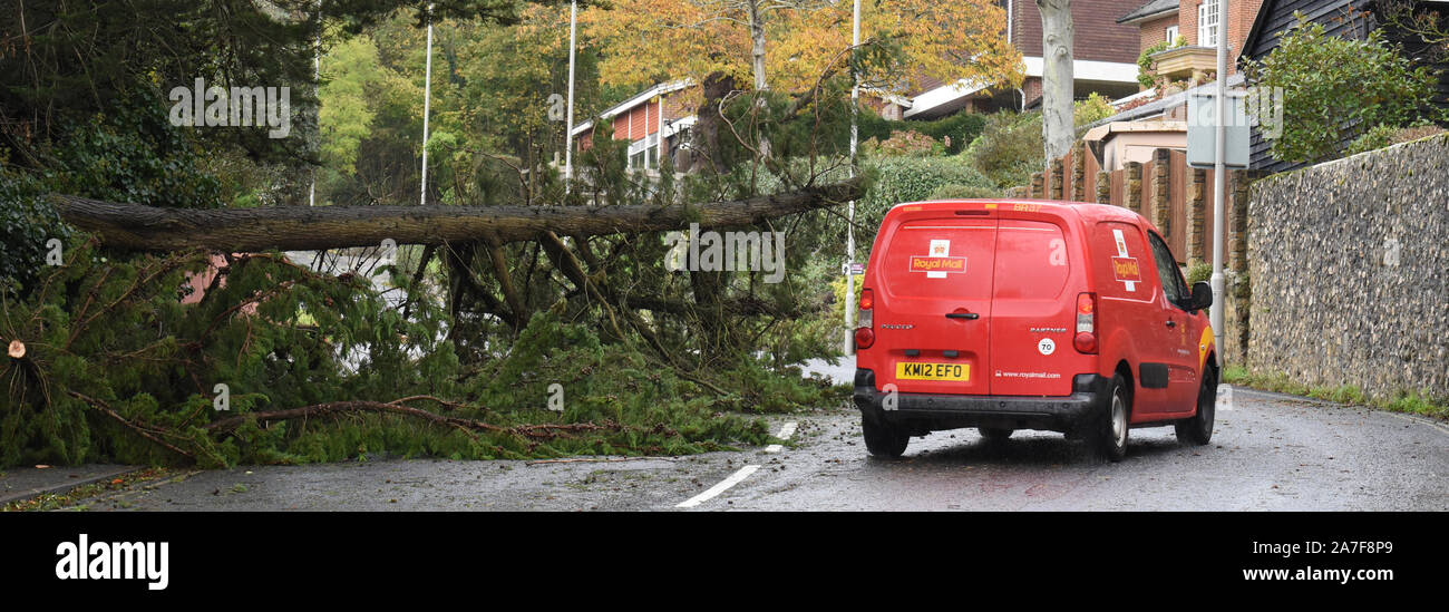 Lyme Regis, Dorset, Regno Unito. Il 2 novembre 2019. Regno Unito: Meteo maltempo e gale force venti portare alberi distrugge nel West Dorset. Un percorso principale in località costiera di Lyme Regis è bloccato da un grande albero caduto. I veicoli sono forzato sull'altro lato della strada per evitare la struttura ad albero e rami spezzati. Avvertimenti restano in posizione attraverso il Sud Ovest come la tempesta le condizioni vengono impostate per continuare. Credito: Celia McMahon/Alamy Live News. Foto Stock