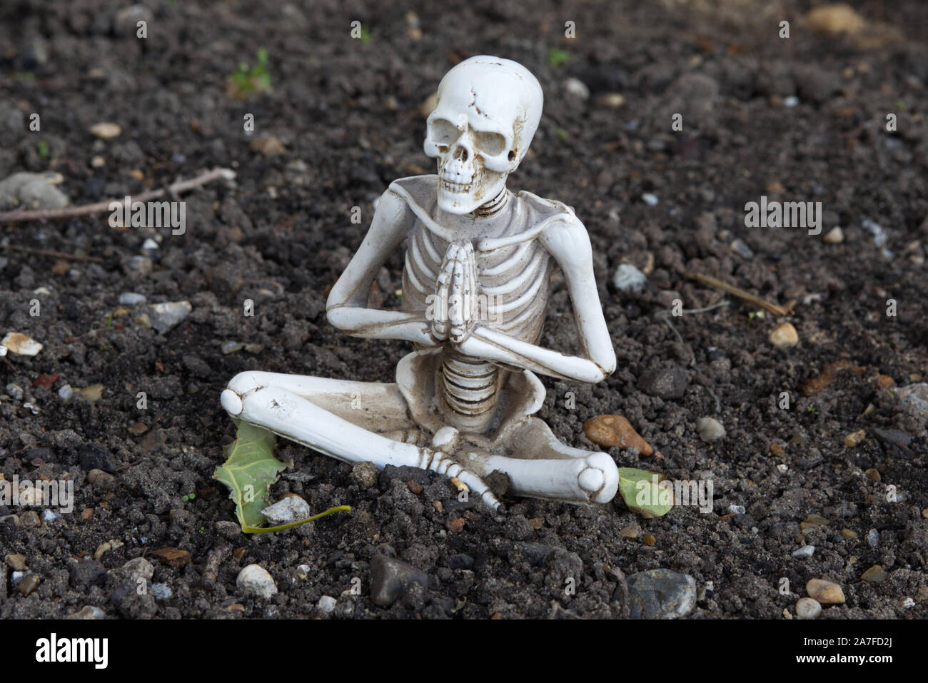 Meditando scheletro in giardino Foto Stock