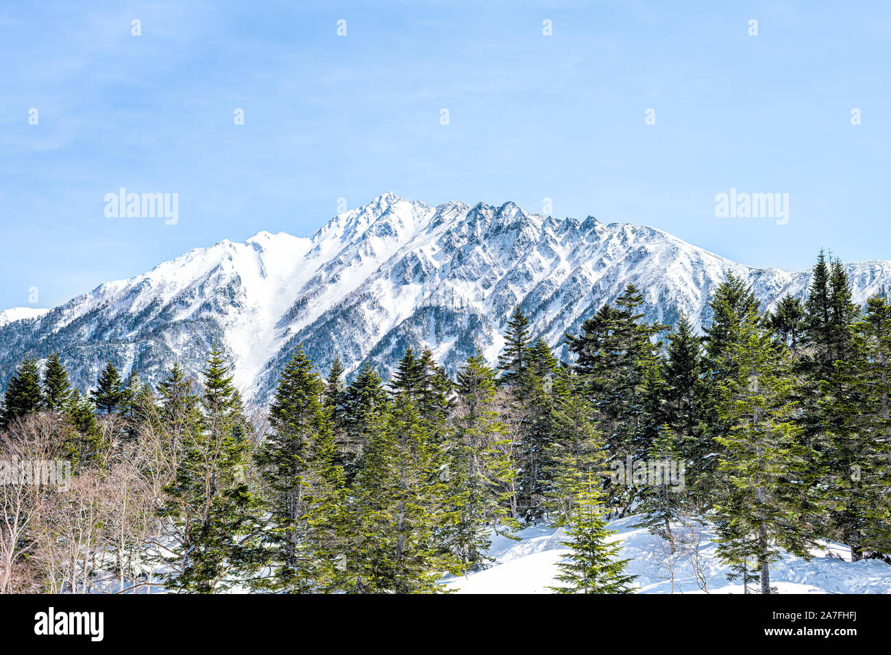 Takayama, Giappone ad alto angolo di visione con picco e alberi nella neve in funivia Shinhotaka nella Prefettura di Gifu mountain Park sulla giornata di primavera Foto Stock