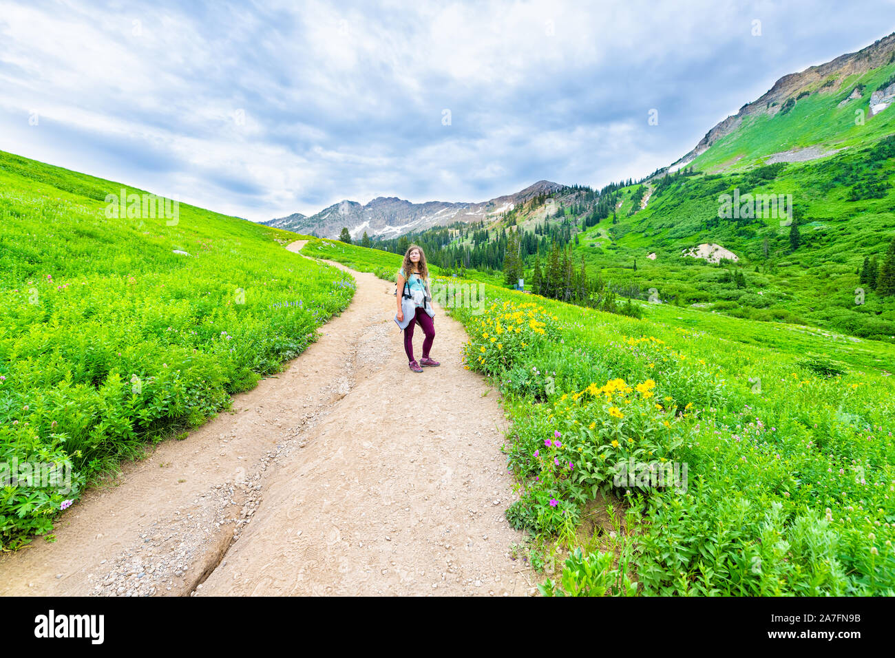 Albion bacino, Utah estate con ampio angolo di donna in piedi sulla strada ripida panorama su prati sentiero in montagne Wasatch fiori selvatici Foto Stock