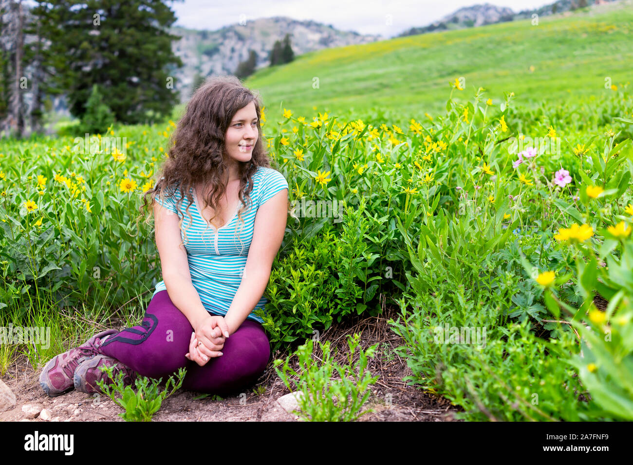 Albion bacino, Utah donna seduta da fiori gialli in estate prati trail nel 2019 in montagne Wasatch durante il festival di fiori selvaggi stagione Foto Stock