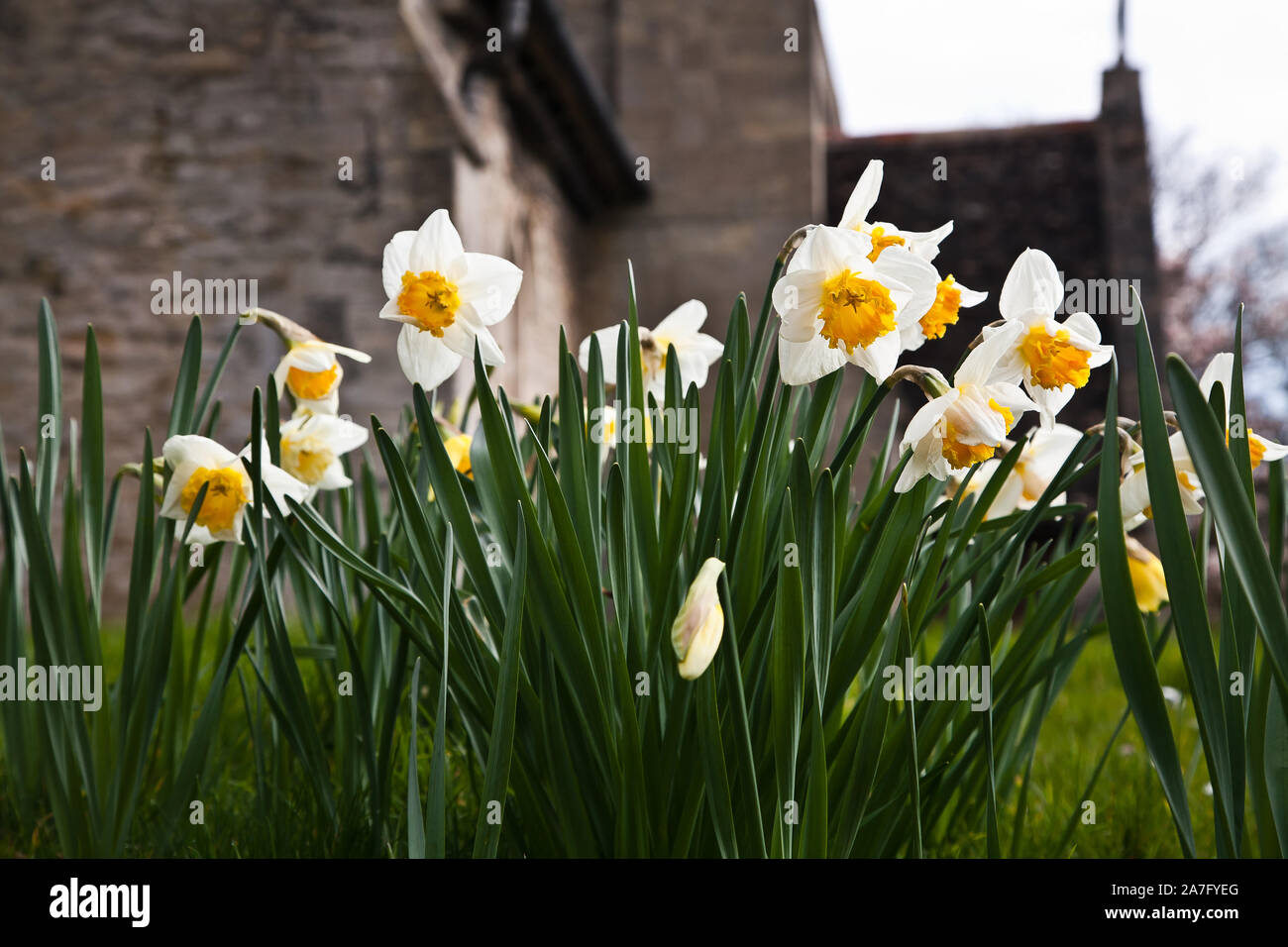 Tutti i Santi. Foto Stock