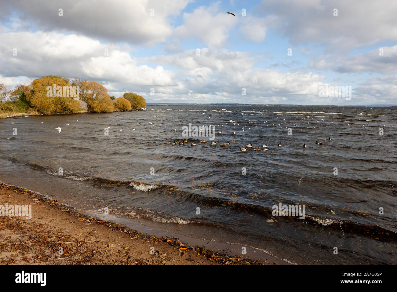 Spiaggia sabbiosa a ballyronan sulle rive del Lough Neagh County Londonderry Irlanda del Nord Foto Stock