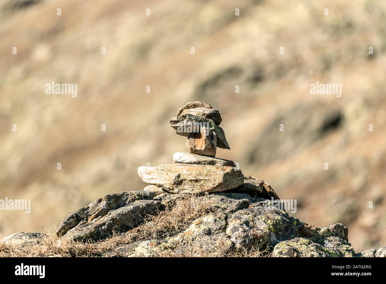 Bella close up di un piccolo tumulo in alto sulla cima di una montagna a passo Rombo con un sfocato sfondo bokeh di fondo Foto Stock