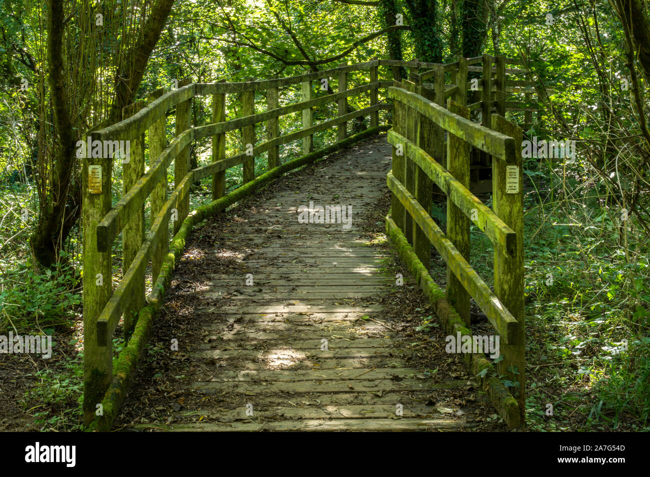 Una passerella su un fiume, adatto per gli utenti di sedia a rotelle Foto Stock