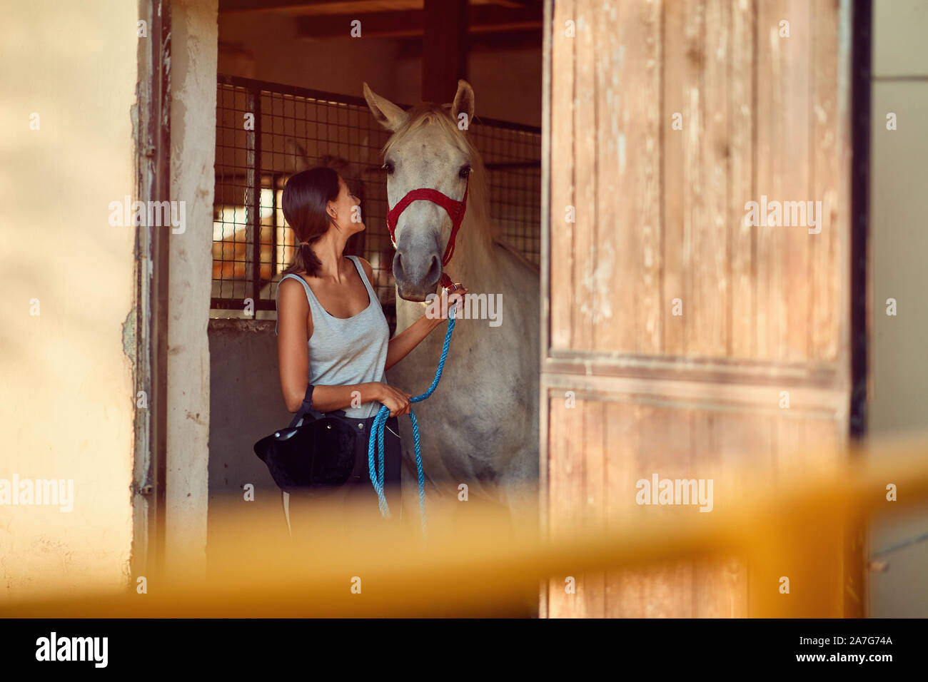I cavalli in stable.giovane donna prendendo cura di un cavallo su un animale ranch Foto Stock