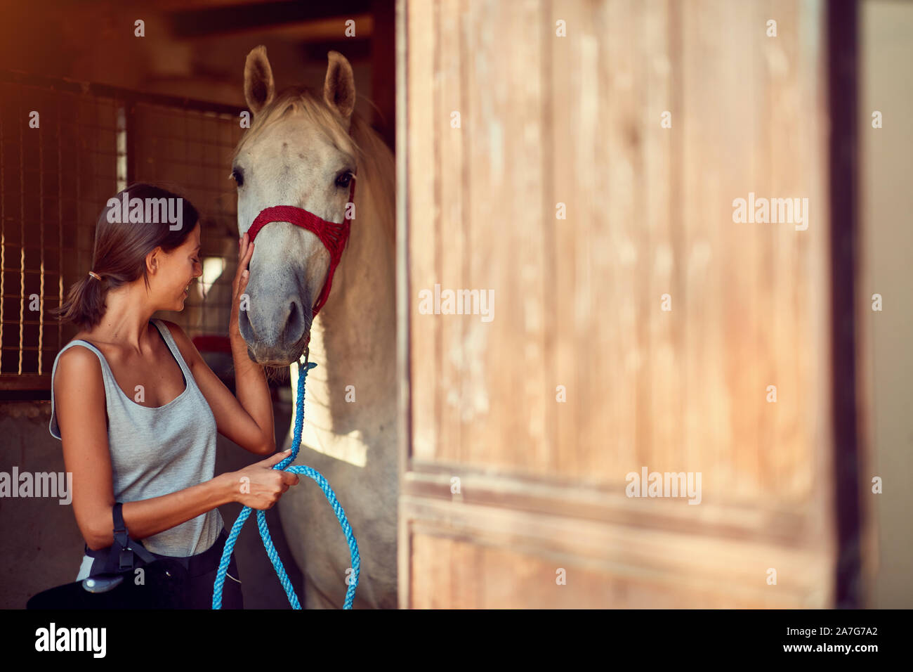 I cavalli in stable.ragazza giovane avendo cura circa un cavallo su un animale ranch Foto Stock