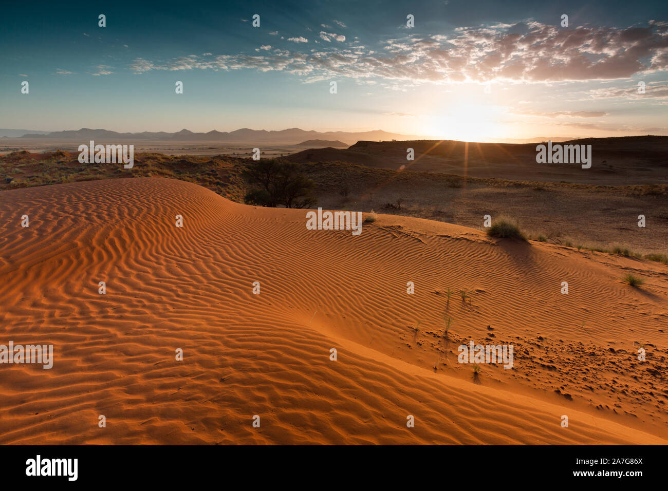 Alba nel deserto del Namib guardando verso le montagne di Naukluftberge. Namibia. Africa. Preso al campo di Gondwana Namib Dune Star. Dune di sabbia rossa. Foto Stock