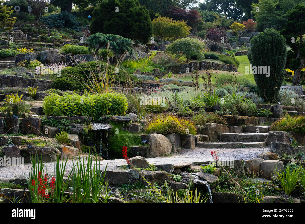 Wisley giardino di roccia. I famosi terrazzamenti RHS Garden contiene piante alpine, conifere e caratteristiche di acqua Foto Stock