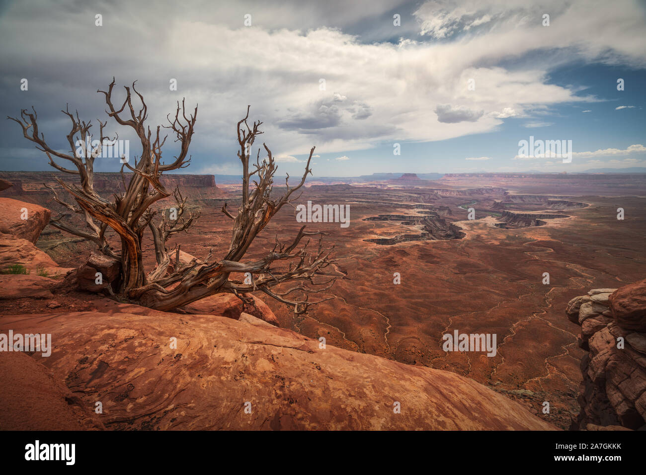 Vedute del deserto da Green River si affacciano, Canyonlands, Utah, Stati Uniti d'America. Foto Stock