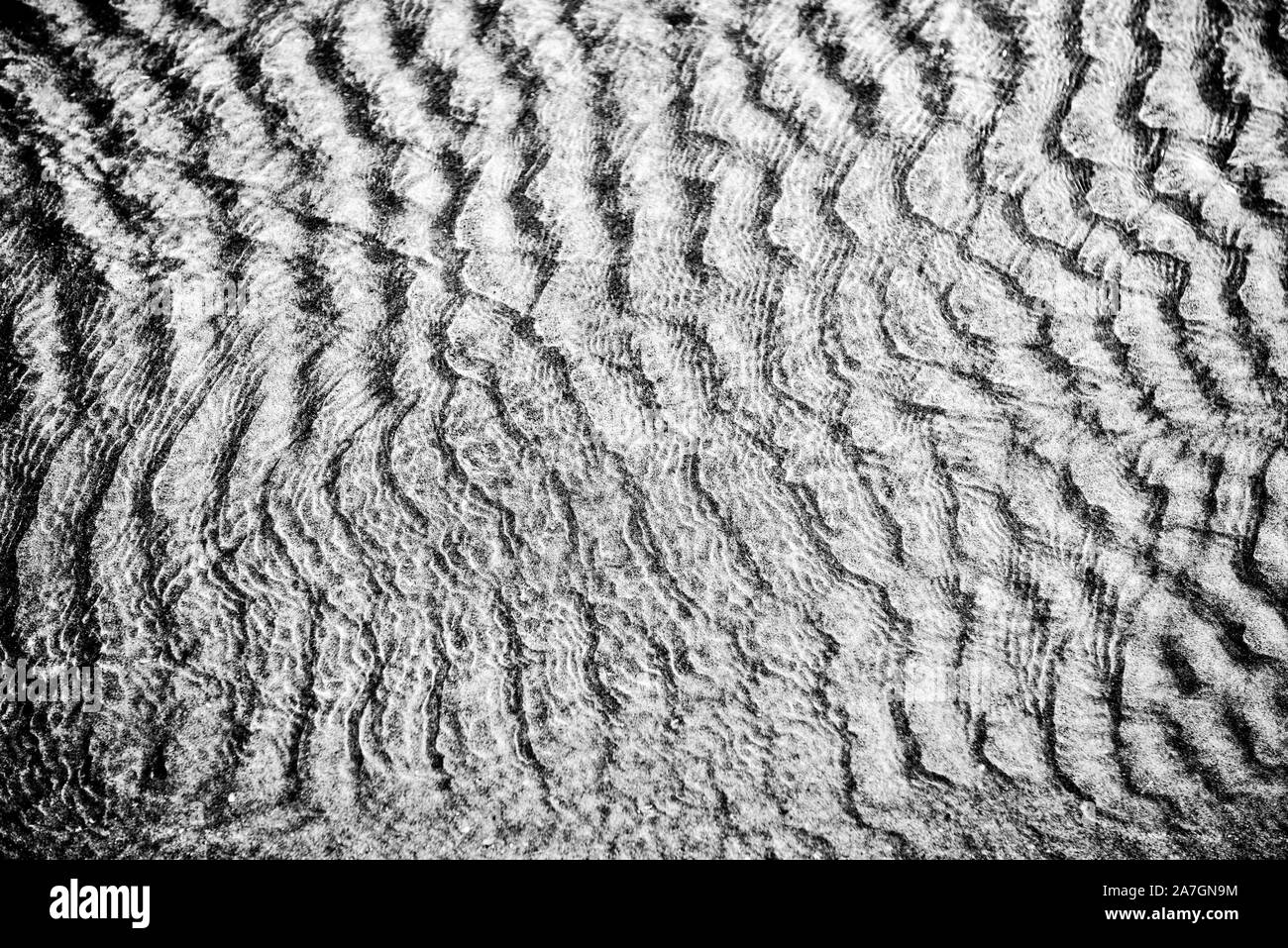 Acqua in movimento su sabbia in monocromia con lieve onde e un po' di sfocatura di movimento per indicare il movimento. Bella la texture e dell'umore. Foto Stock
