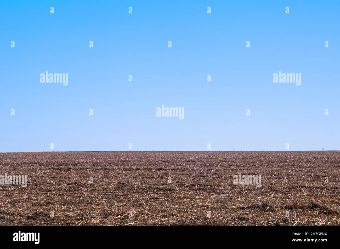 Carnfield riempito con la stoppia aspettando la primavera piantando tempo Foto Stock