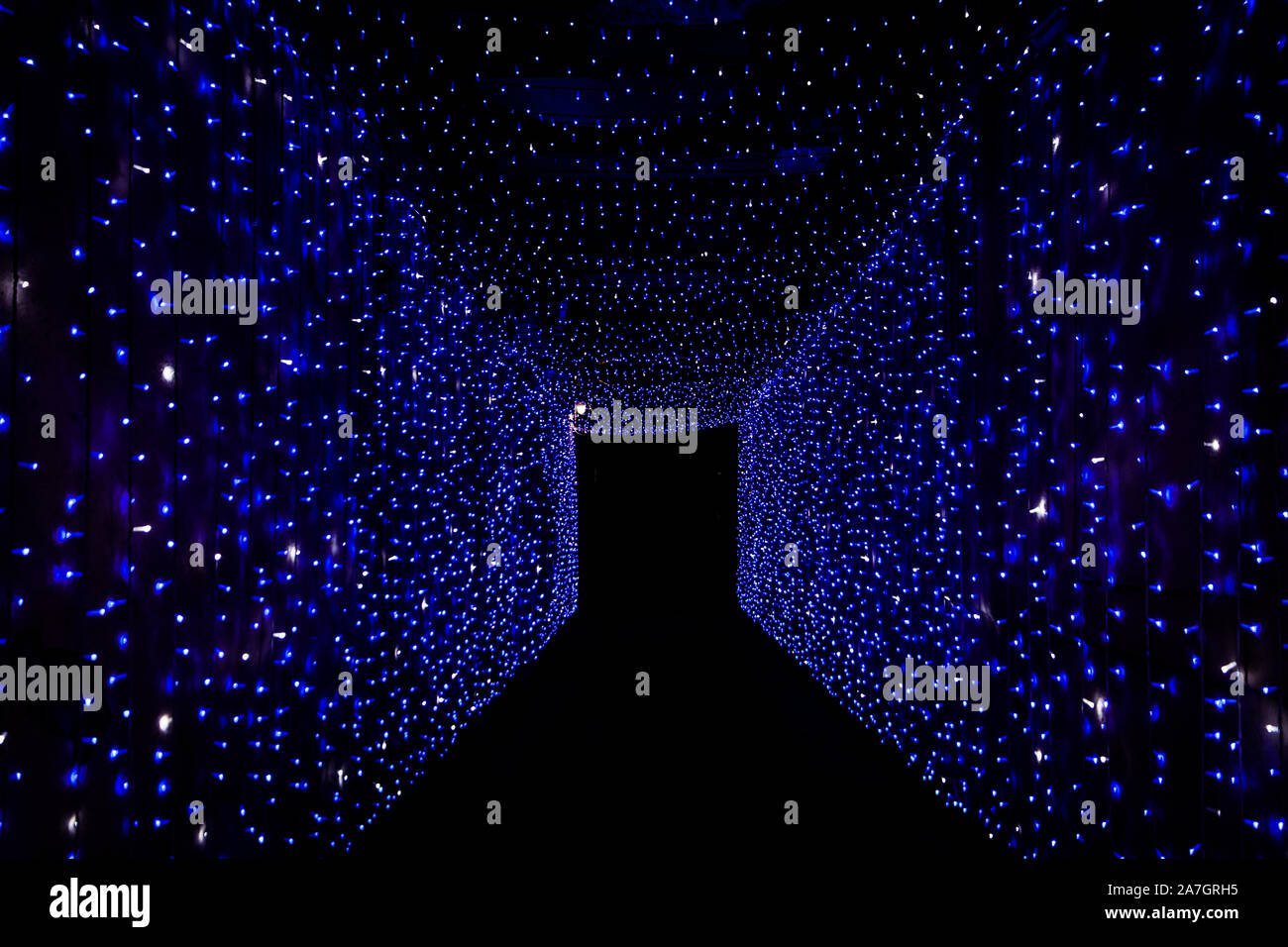 Stelle blu in un modo Foto Stock
