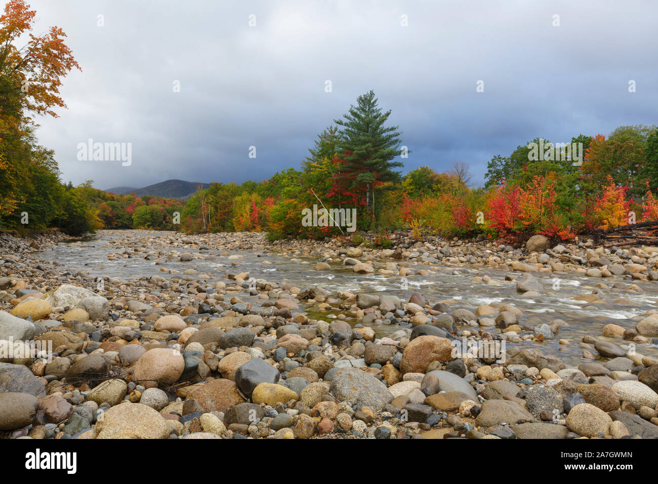 Guardando a valle in corrispondenza di fogliame di autunno lungo la rocciosa ramo orientale del fiume Pemigewasset, vicino al villaggio di Lincoln, a Lincoln, New Hampshire su una nuvola Foto Stock