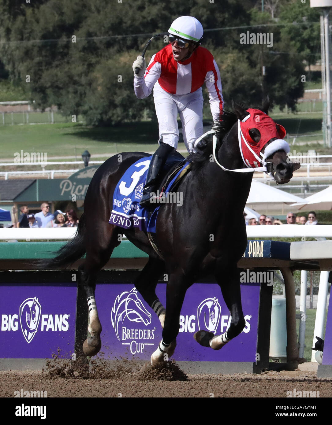 Arcadia, Stati Uniti. 02Nov, 2019. Irad Ortiz, Jr. a bordo filate per eseguire, celebra come egli attraversa la linea del traguardo per vincere la Breeders Cup sporcizia miglio durante la trentaseiesima Breeders Cup World Championship presso la Santa Anita Race Track in Arcadia, California il 2 novembre 2019. Foto di Mark Abramo/UPI Credito: UPI/Alamy Live News Foto Stock