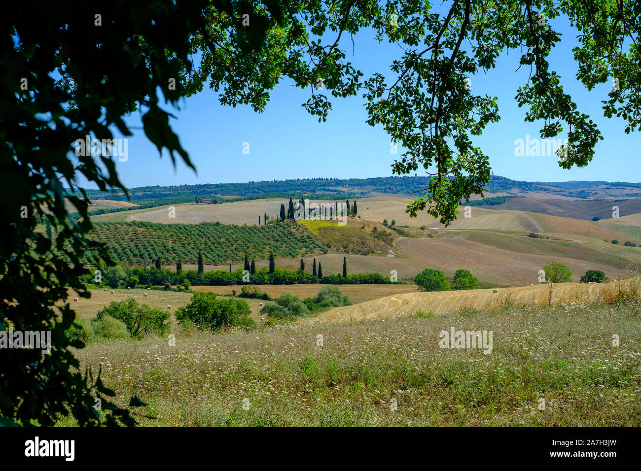 San Quirico d'Orcia, Italia - 3 Agosto 2019: paesaggio rurale della natura toscana in estate Foto Stock