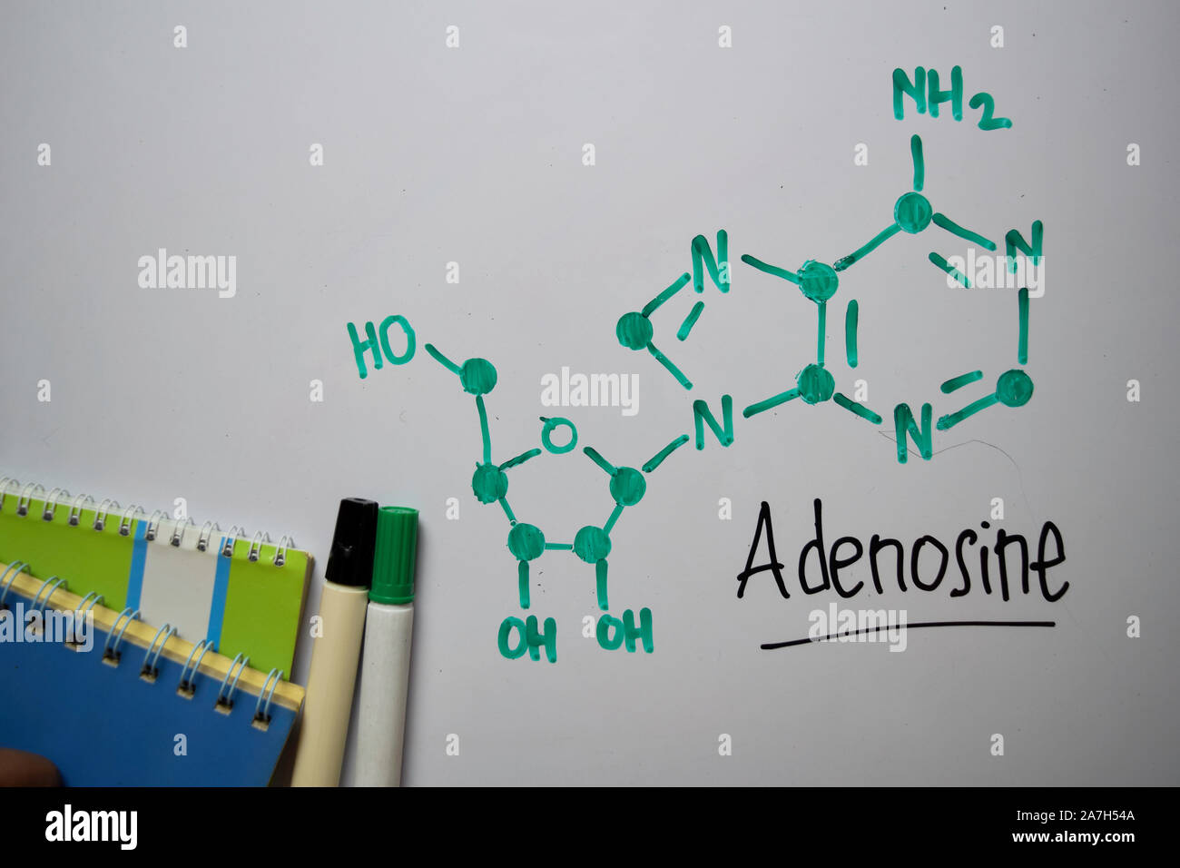 Molecola di adenosina scrivere sulla lavagna bianca. Formula chimica di struttura. Il concetto di istruzione Foto Stock