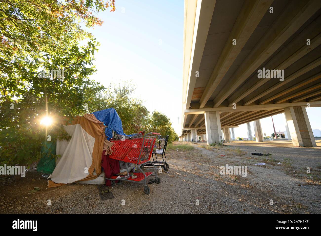 Tenda realizzato localmente e carrelli di shopping per appartenenti sit in un accampamento di senzatetto sotto un cavalcavia autostradale di Austin, Texas. Foto Stock